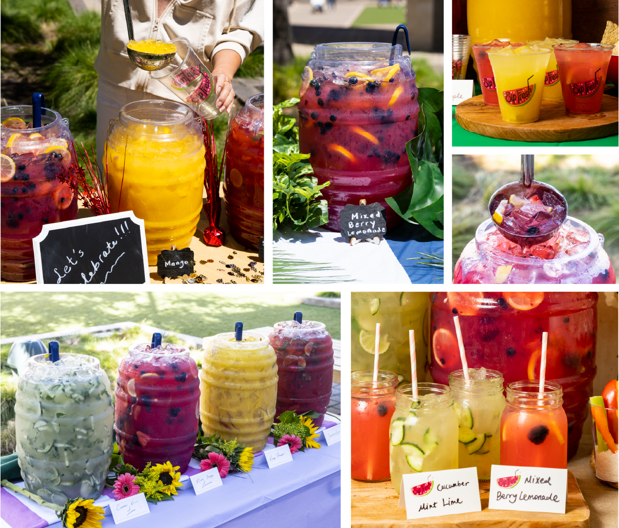 Sip Fresh Catering for events and parties